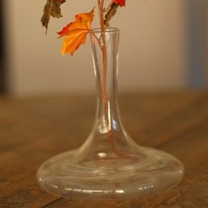 Decanter Carafe vessel vase
